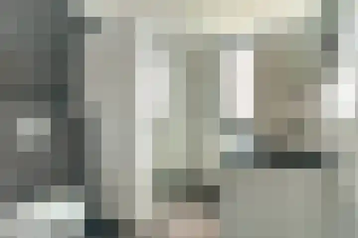Everardus van Gochstraat 58 Oudheusden thumbnail 22