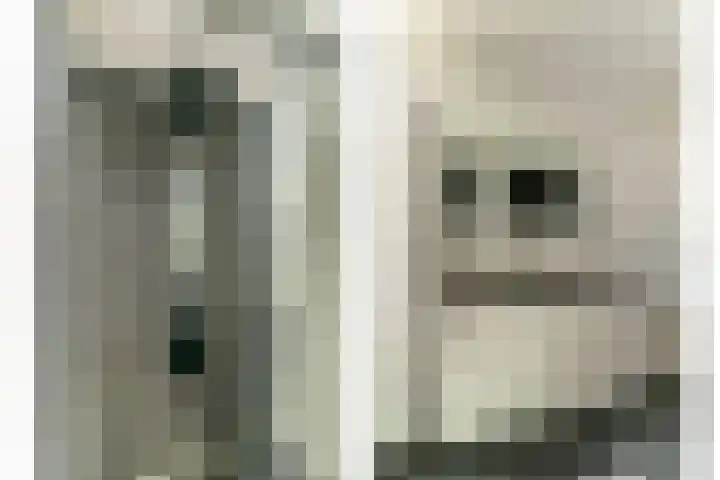 Everardus van Gochstraat 58 Oudheusden thumbnail 23