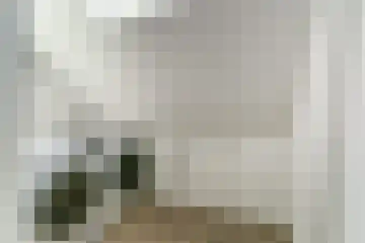 Everardus van Gochstraat 58 Oudheusden thumbnail 27
