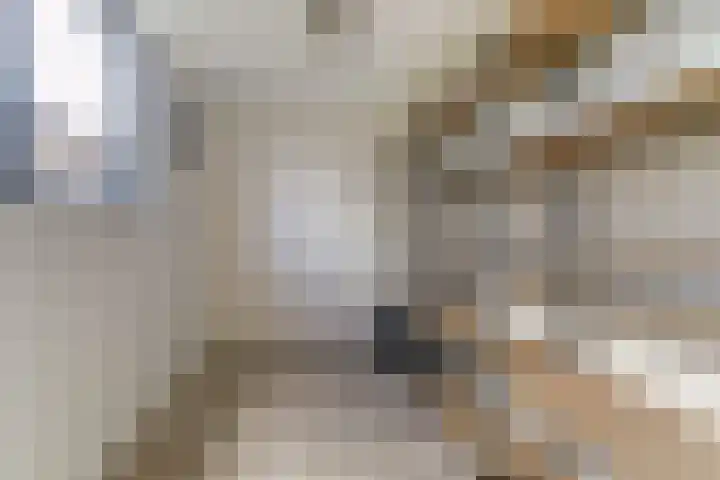 Everardus van Gochstraat 58 Oudheusden thumbnail 28