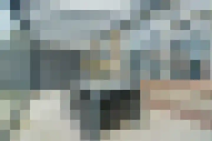 Everardus van Gochstraat 58 Oudheusden thumbnail 29