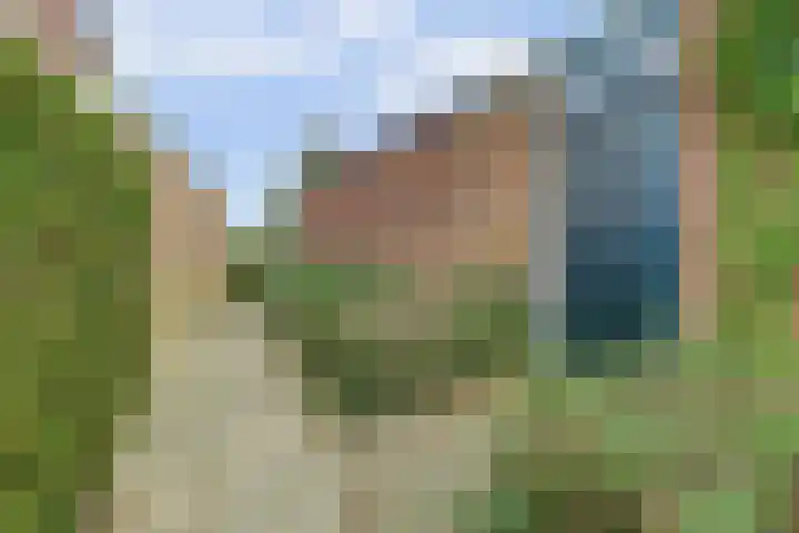 Everardus van Gochstraat 58 Oudheusden thumbnail 35