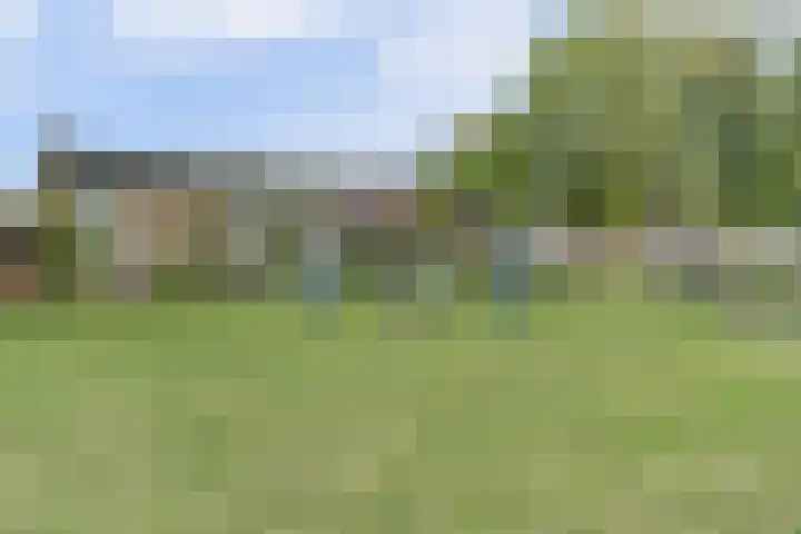 Everardus van Gochstraat 58 Oudheusden thumbnail 37
