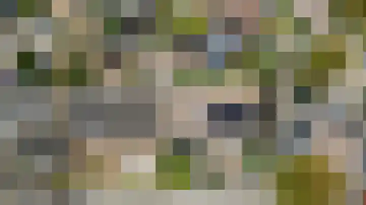 Everardus van Gochstraat 58 Oudheusden thumbnail 38