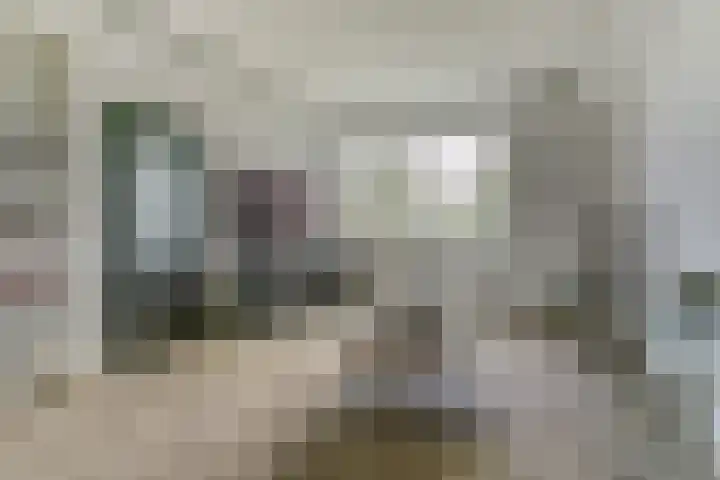 Everardus van Gochstraat 58 Oudheusden thumbnail 4
