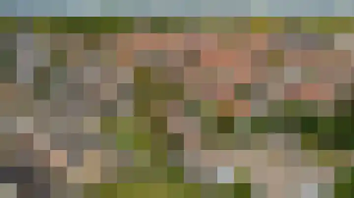 Everardus van Gochstraat 58 Oudheusden thumbnail 40