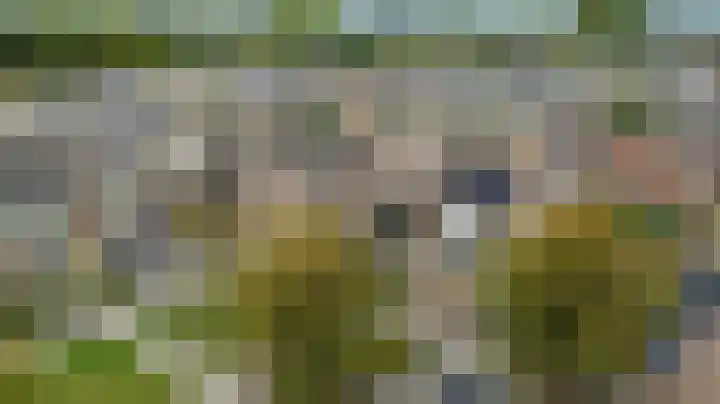 Everardus van Gochstraat 58 Oudheusden thumbnail 42