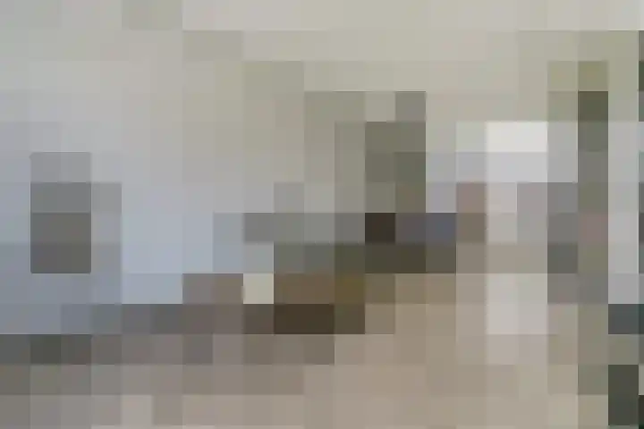 Everardus van Gochstraat 58 Oudheusden thumbnail 5