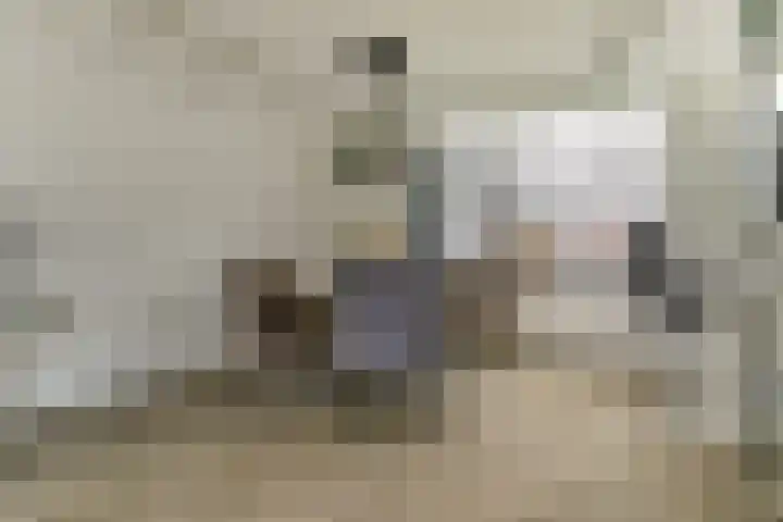 Everardus van Gochstraat 58 Oudheusden thumbnail 6
