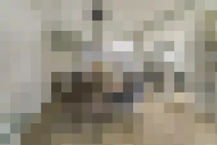 Everardus van Gochstraat 58 Oudheusden thumbnail 7