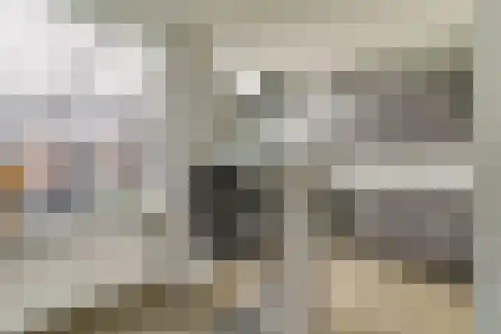 Everardus van Gochstraat 58 Oudheusden thumbnail 8