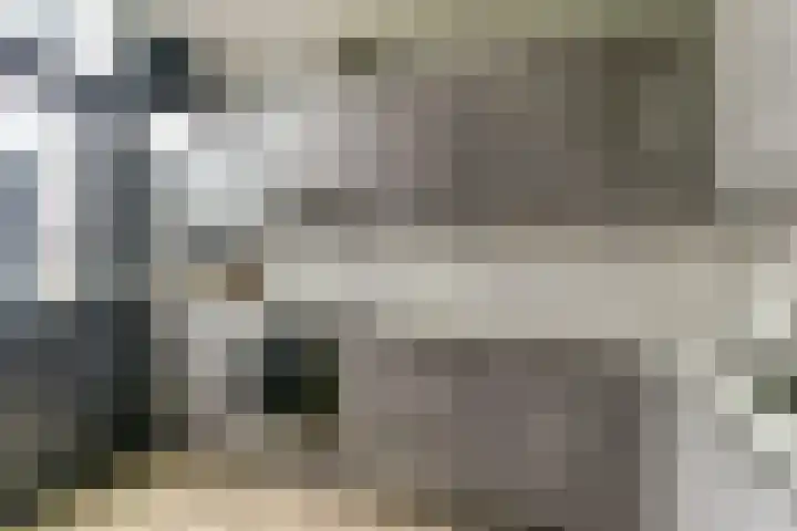 Everardus van Gochstraat 58 Oudheusden thumbnail 9