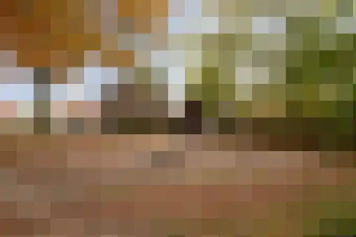 Everarduspad 3 Berlicum thumbnail 31