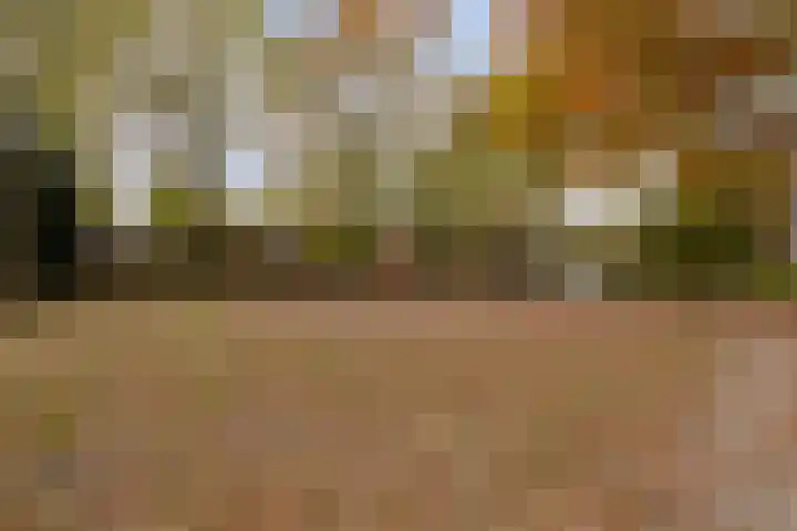 Everarduspad 3 Berlicum thumbnail 32