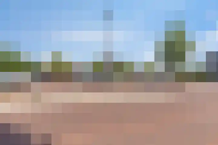 Everarduspad 3 Berlicum thumbnail 33