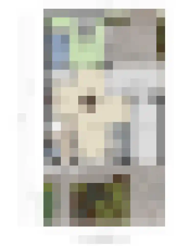 Everarduspad 3 Berlicum thumbnail 34