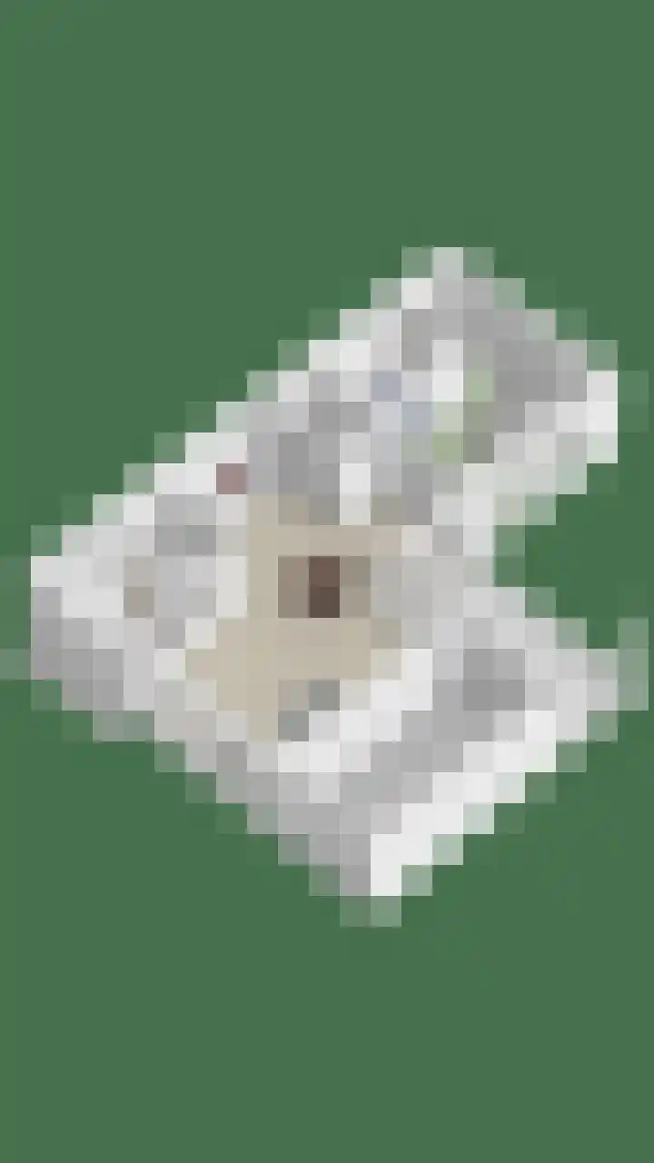 Everarduspad 3 Berlicum thumbnail 38