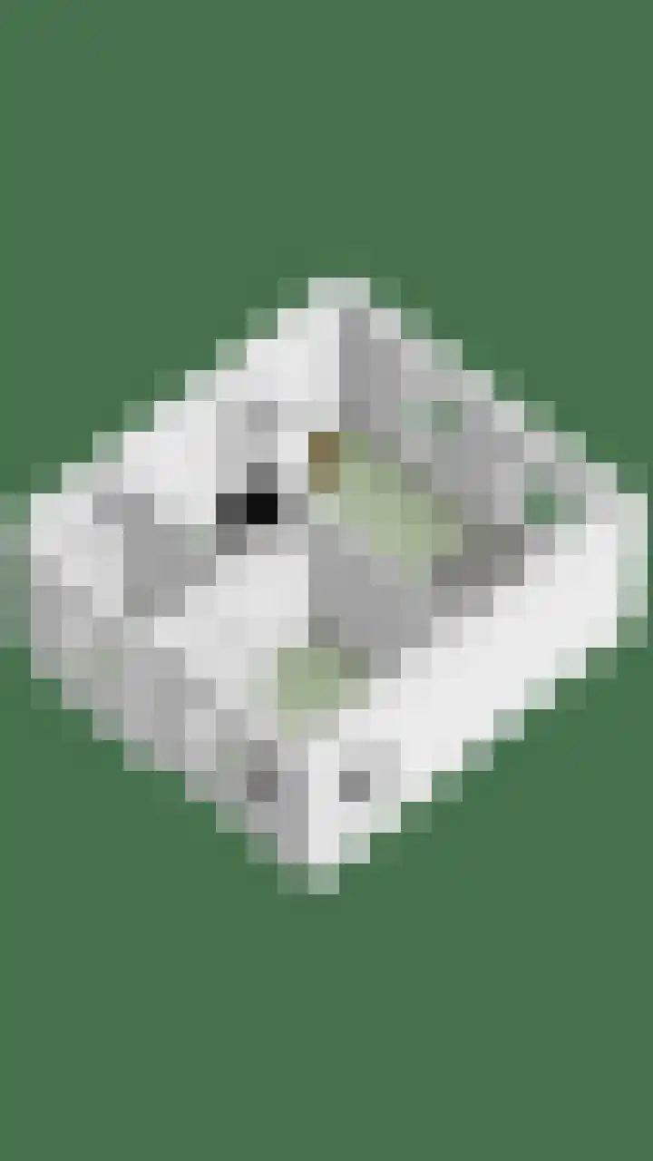 Everarduspad 3 Berlicum thumbnail 39