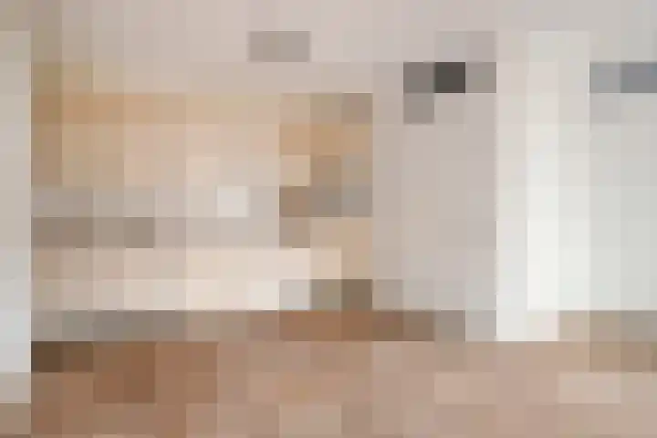 Everarduspad 3 Berlicum thumbnail 7
