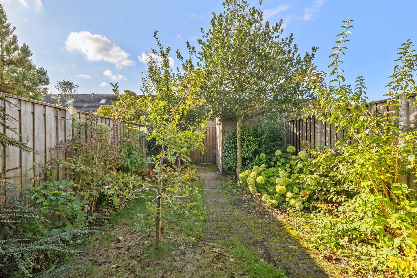 Everberg 27 Roosendaal thumbnail 35