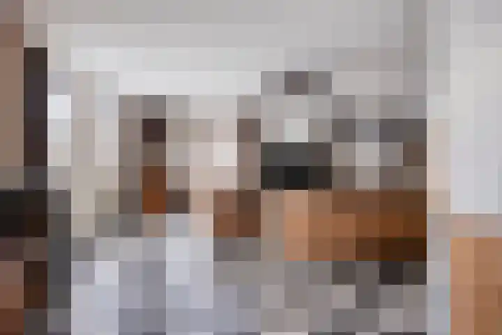 Everbest 19 Beek en Donk thumbnail 13