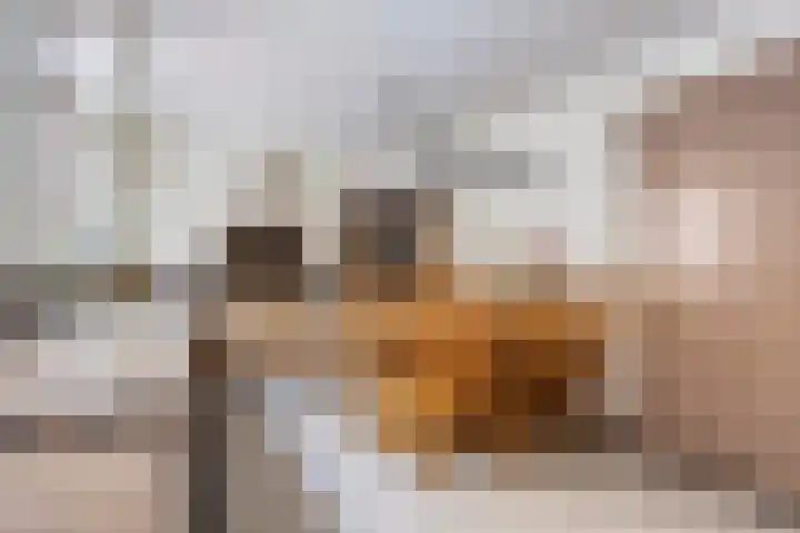 Everbest 19 Beek en Donk thumbnail 16