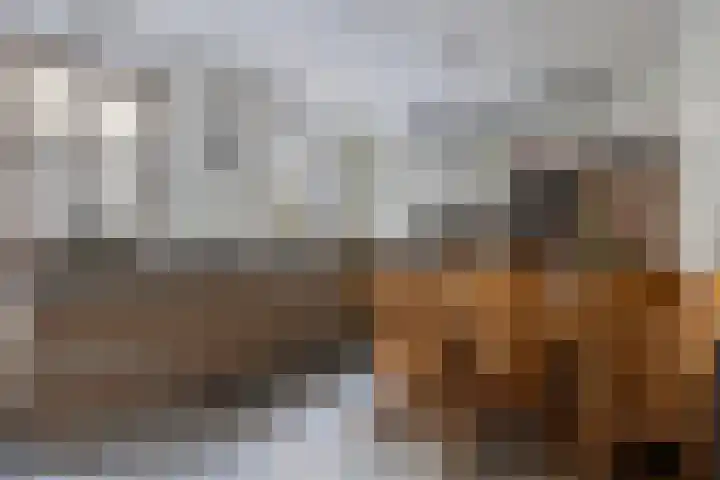 Everbest 19 Beek en Donk thumbnail 17