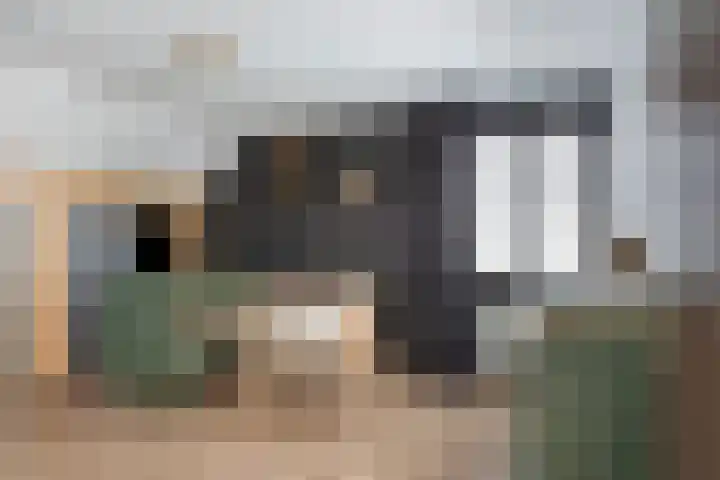 Everbest 19 Beek en Donk thumbnail 28