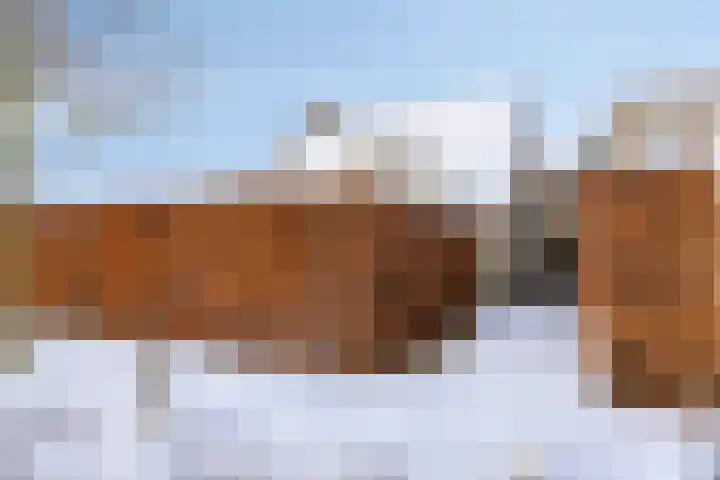Everbest 19 Beek en Donk thumbnail 52
