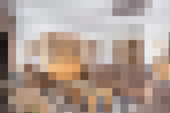 Everbest 19 Beek en Donk thumbnail 8