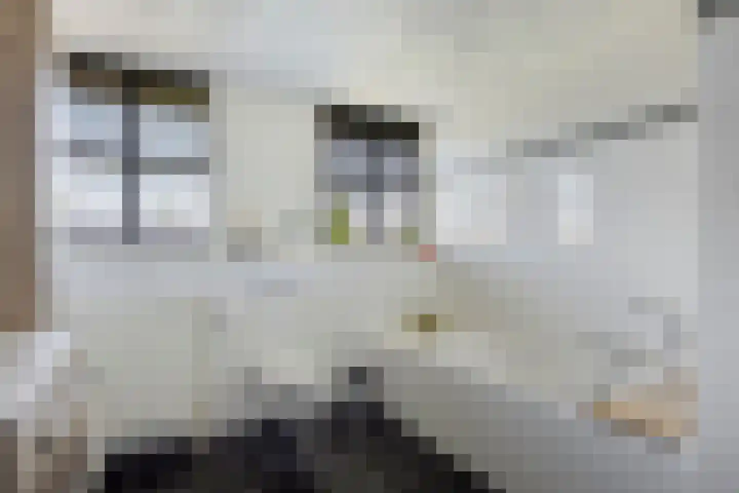 Everbest 56 Beek en Donk thumbnail 20