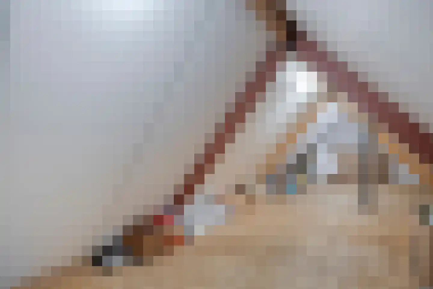 Everbest 56 Beek en Donk thumbnail 22