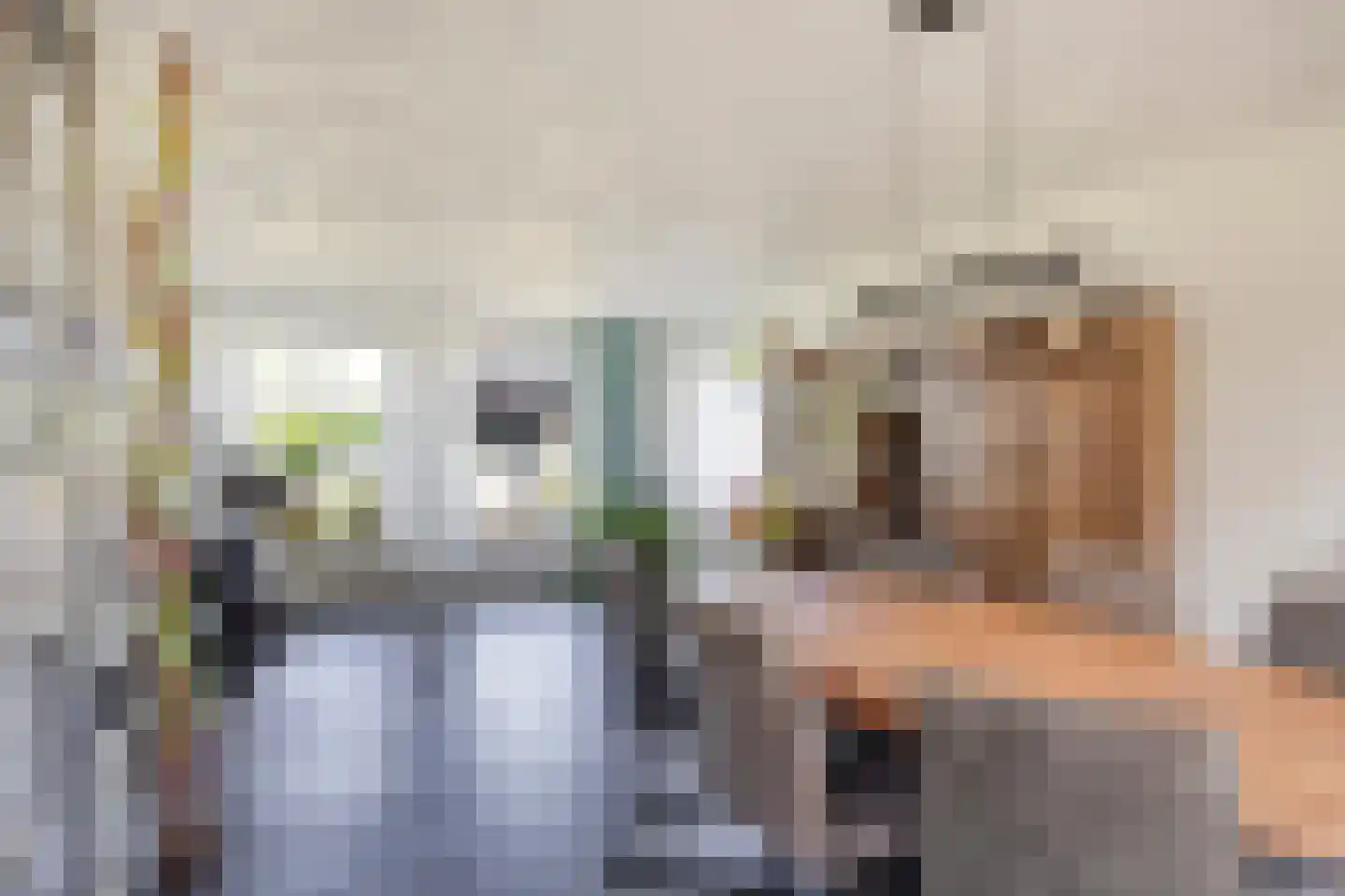 Everbest 56 Beek en Donk thumbnail 7