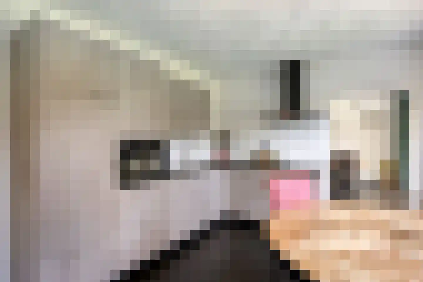 Everbest 56 Beek en Donk thumbnail 8