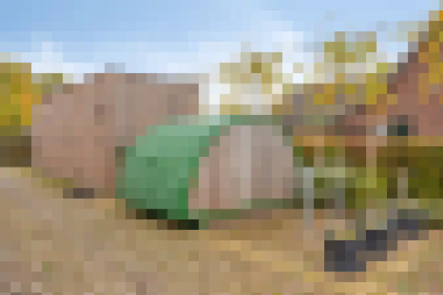 Everdineweerd 13 a Katwijk NB thumbnail 32