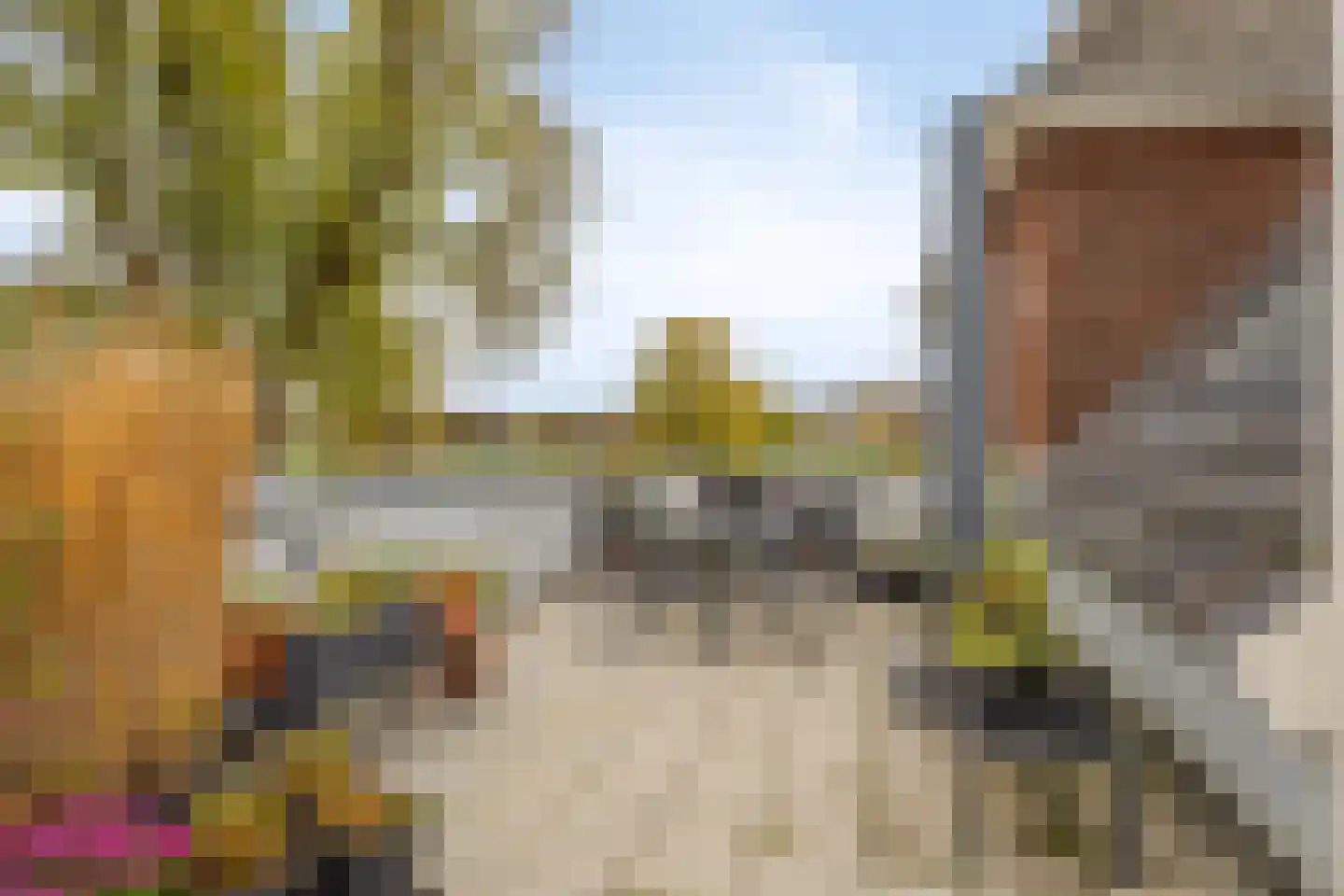 Everdineweerd 13 a Katwijk NB thumbnail 4