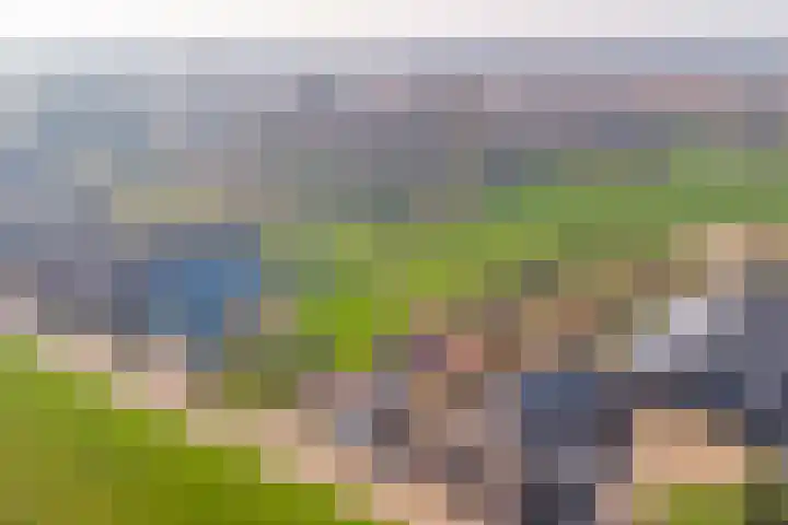 Everdineweerd 25 Katwijk NB thumbnail 48