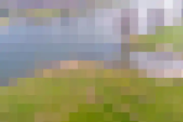 Everdineweerd 25 Katwijk NB thumbnail 49