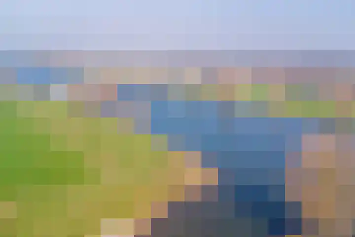 Everdineweerd 25 Katwijk NB thumbnail 50