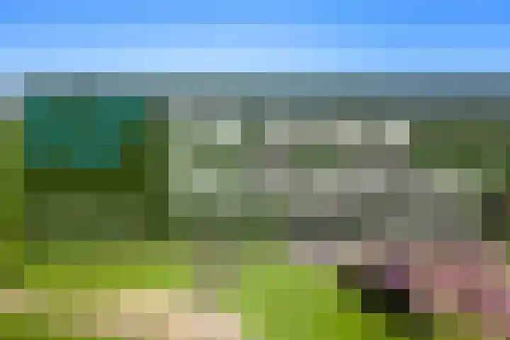 Everdineweerd 25 Katwijk NB thumbnail 52