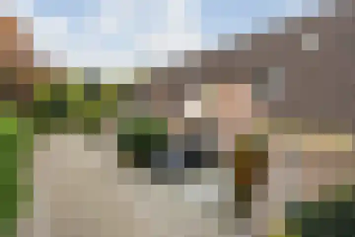 Everdonk 12 Breda thumbnail 11