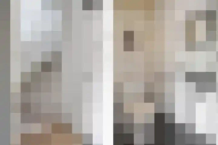 Everdonk 12 Breda thumbnail 15