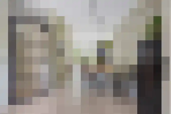 Everdonk 12 Breda thumbnail 16