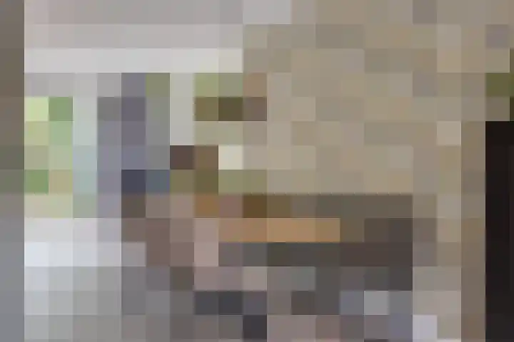 Everdonk 12 Breda thumbnail 18