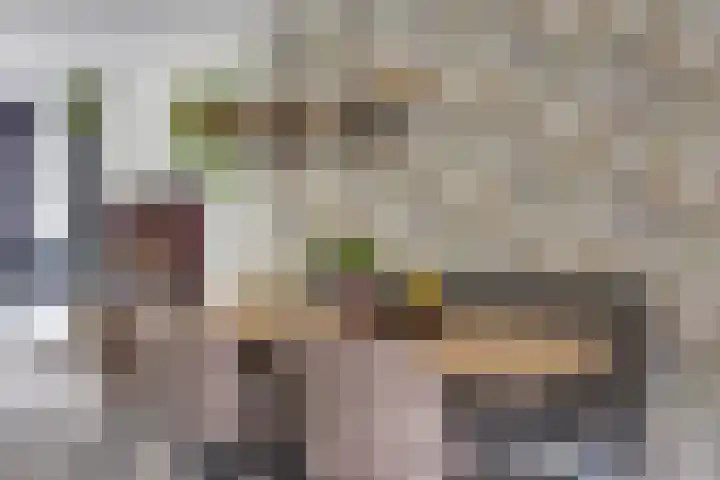 Everdonk 12 Breda thumbnail 19