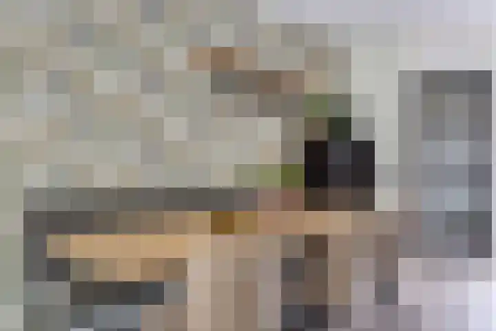 Everdonk 12 Breda thumbnail 20