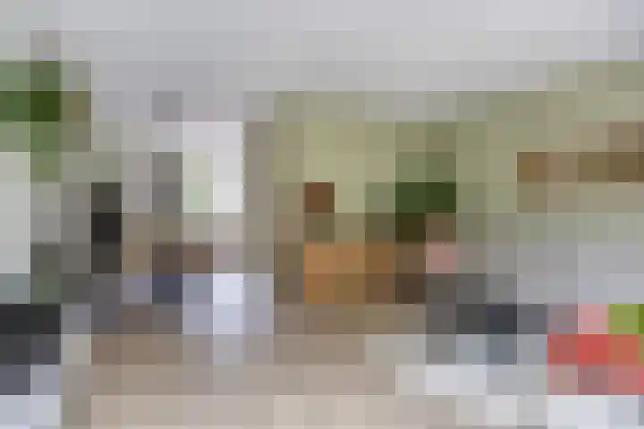 Everdonk 12 Breda thumbnail 24