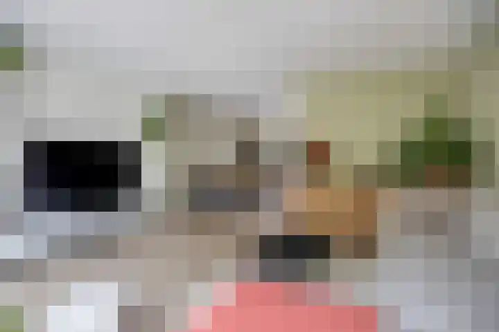Everdonk 12 Breda thumbnail 26
