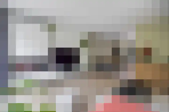 Everdonk 12 Breda thumbnail 27