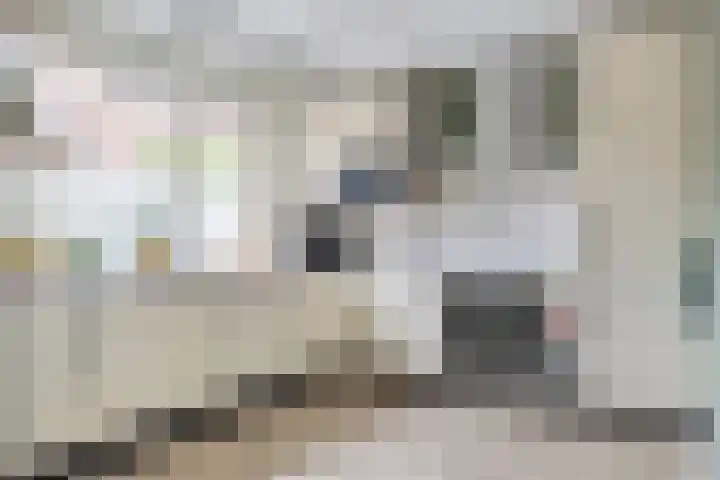Everdonk 12 Breda thumbnail 31